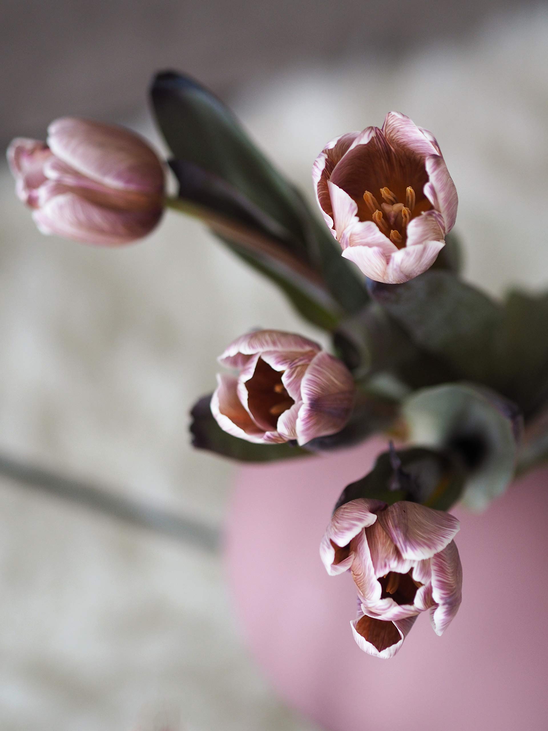 cooee-design-ball-vase-keramikvase-cinder-rose-20-cm image 3