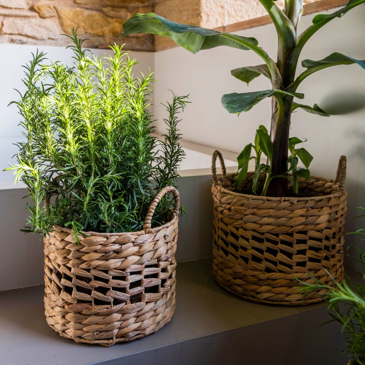 andrea-house-decoraci-n-k-rbe-3er-set-natur-geflochten image 3