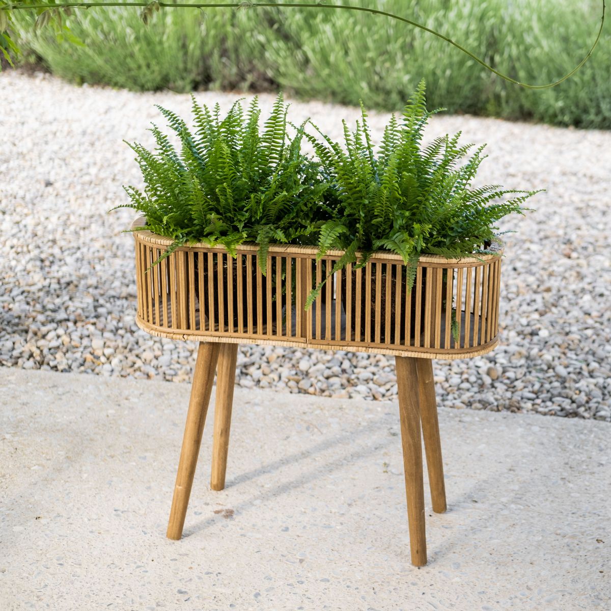 andrea-house-decoraci-n-pflanztopf-bambus-rattan-hoch image 1