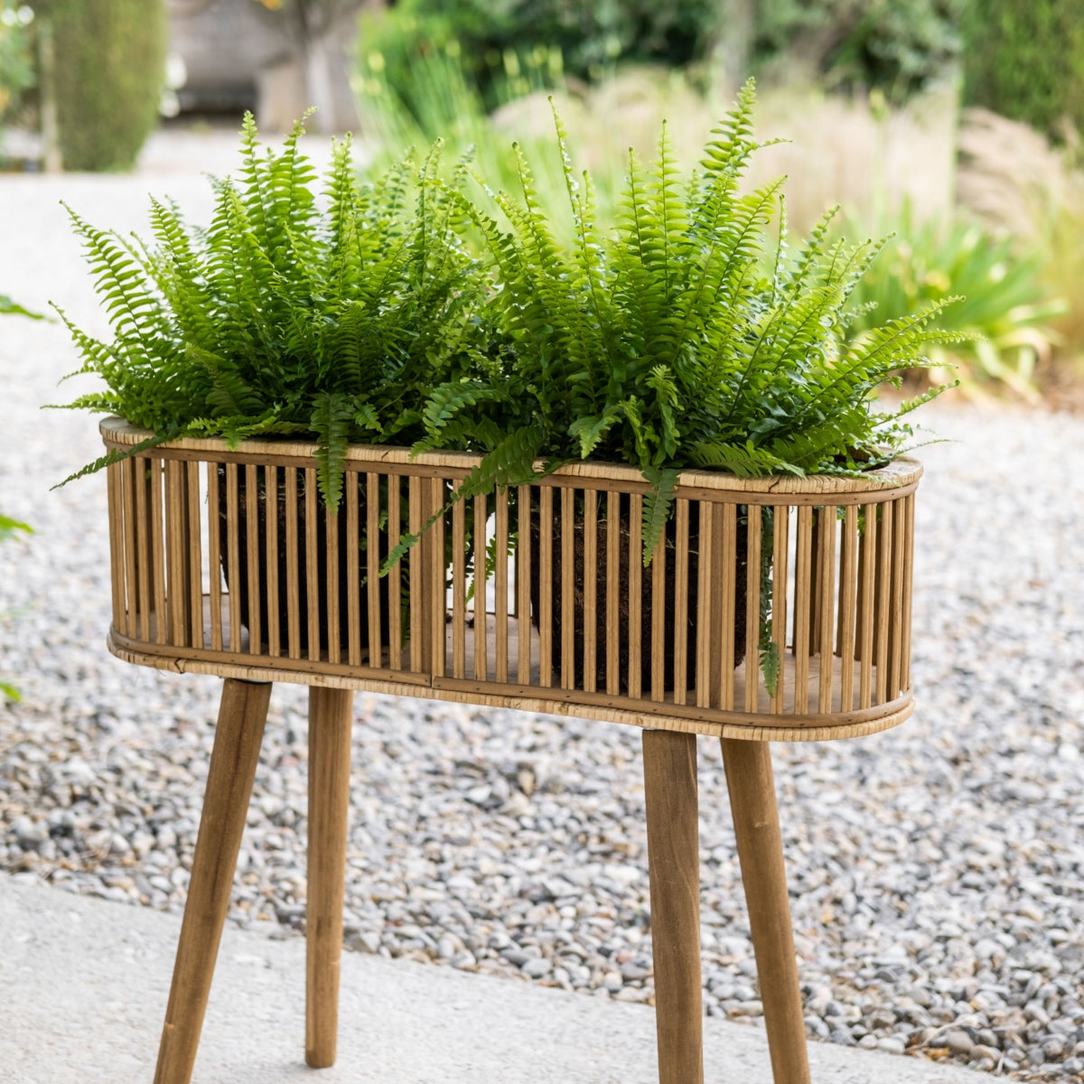 andrea-house-decoraci-n-pflanztopf-bambus-rattan-hoch image 2