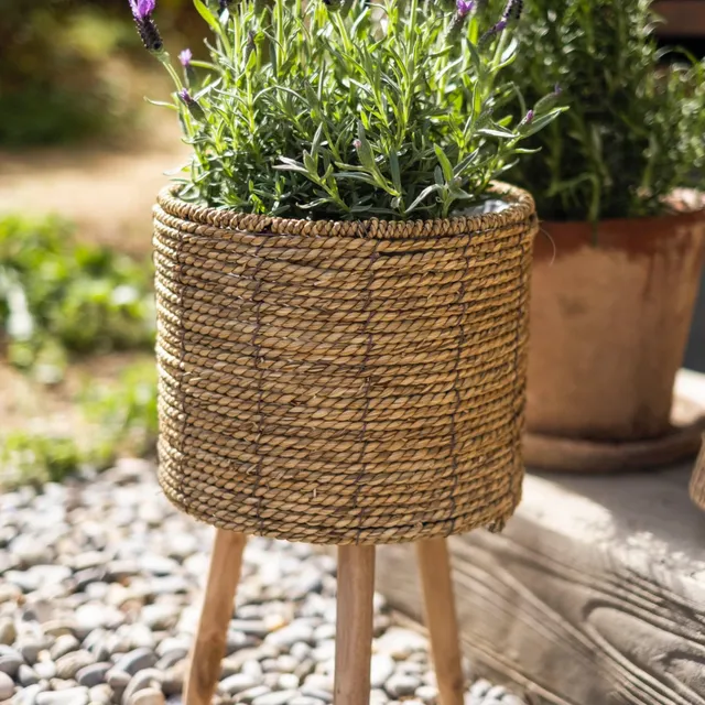 andrea-house-blumentopf-set-2tlg-binsen-mit-fu image 1