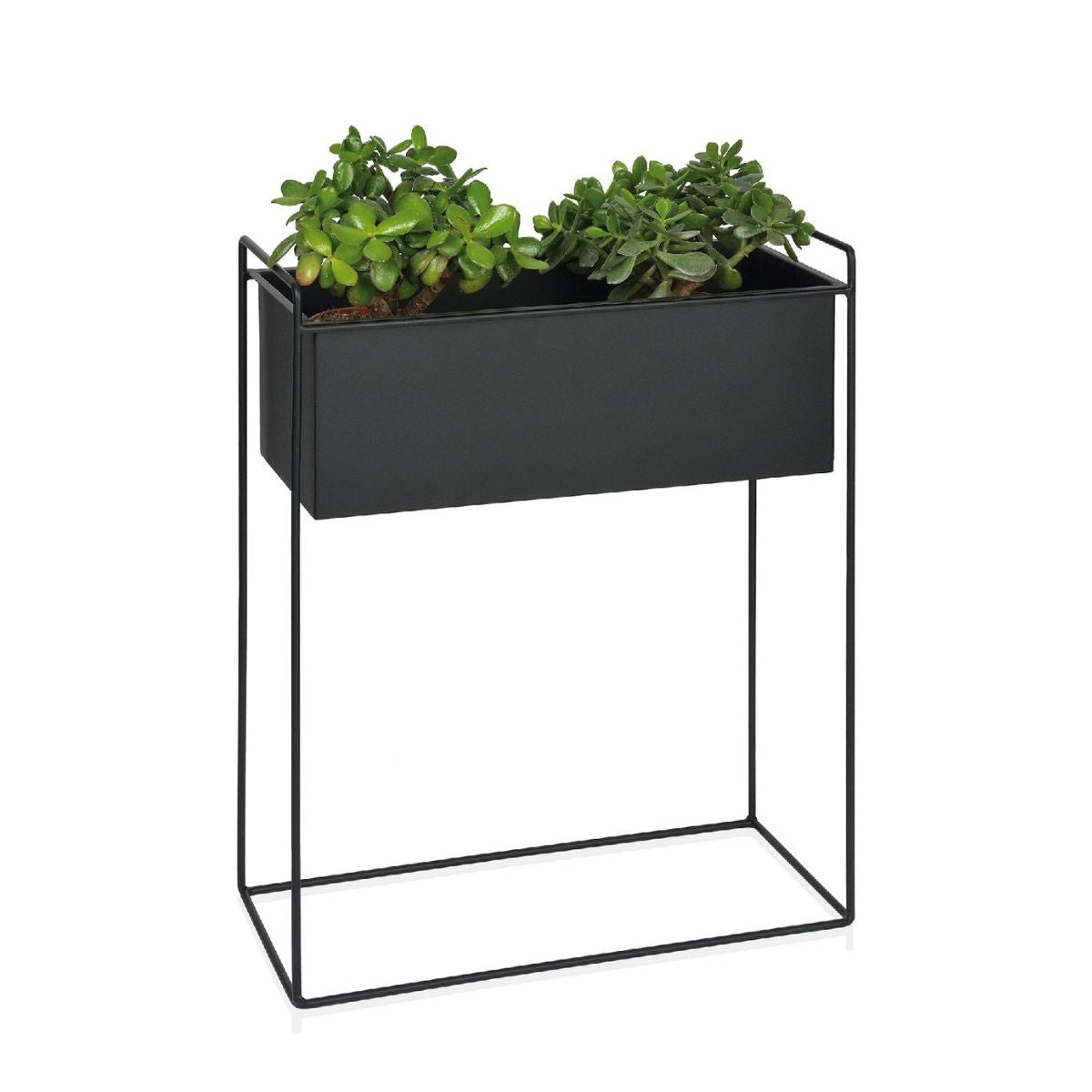 andrea-house-decoraci-n-blumentopf-metall-schwarz image 4