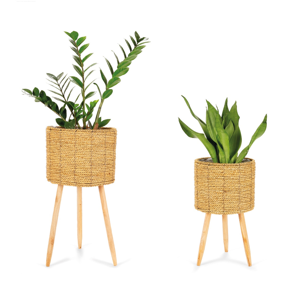 andrea-house-blumentopf-set-2tlg-binsen-mit-fu image 2