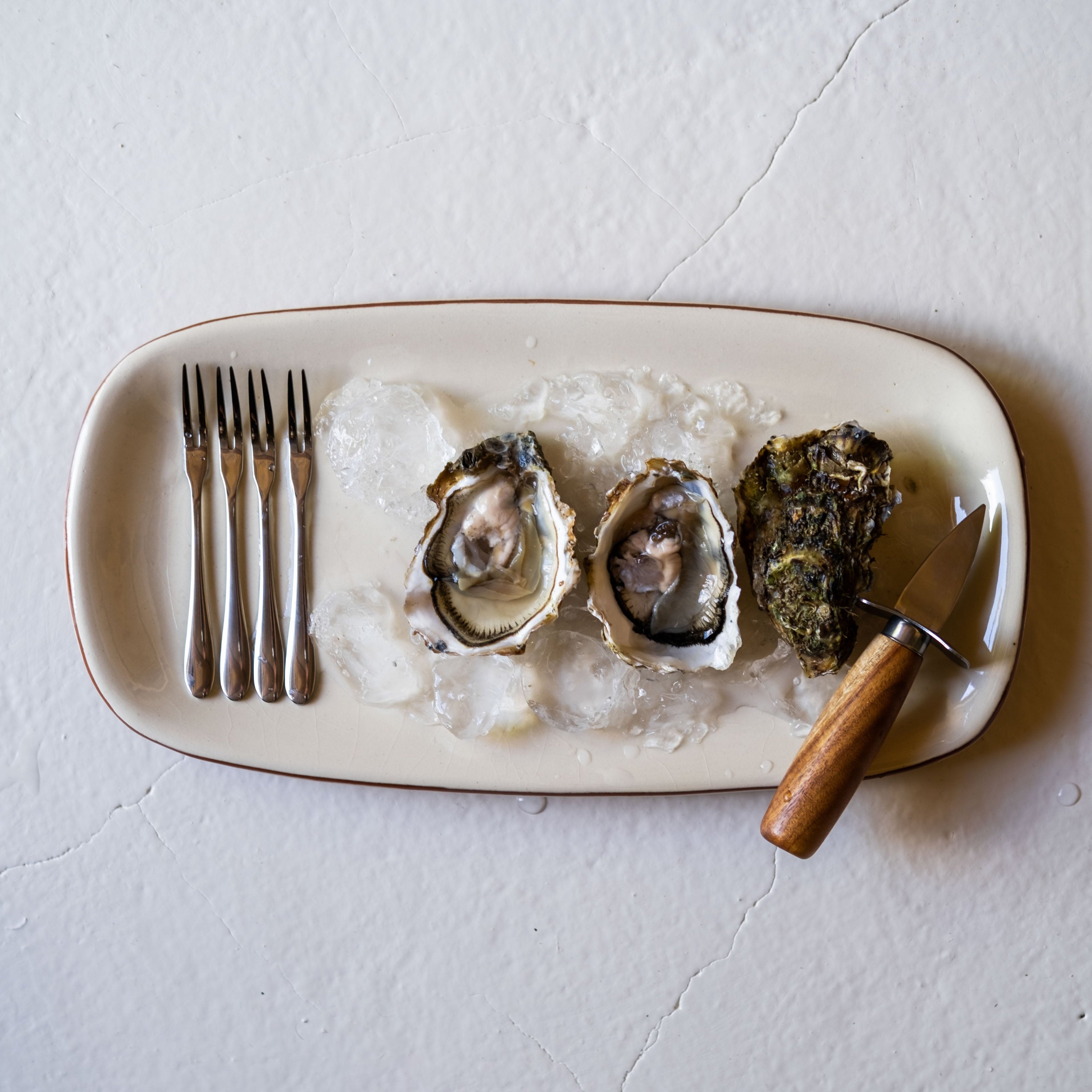 andrea-house-cocina-y-mesa-meeresfr-chtebesteck-10-teilig image 1