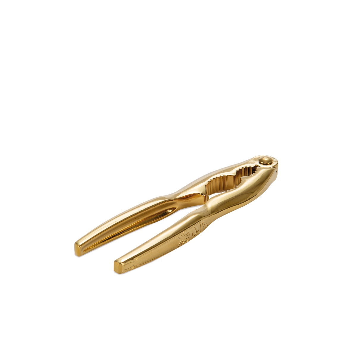 andrea-house-meeresfr-chte-set-edelstahl-gold image 4